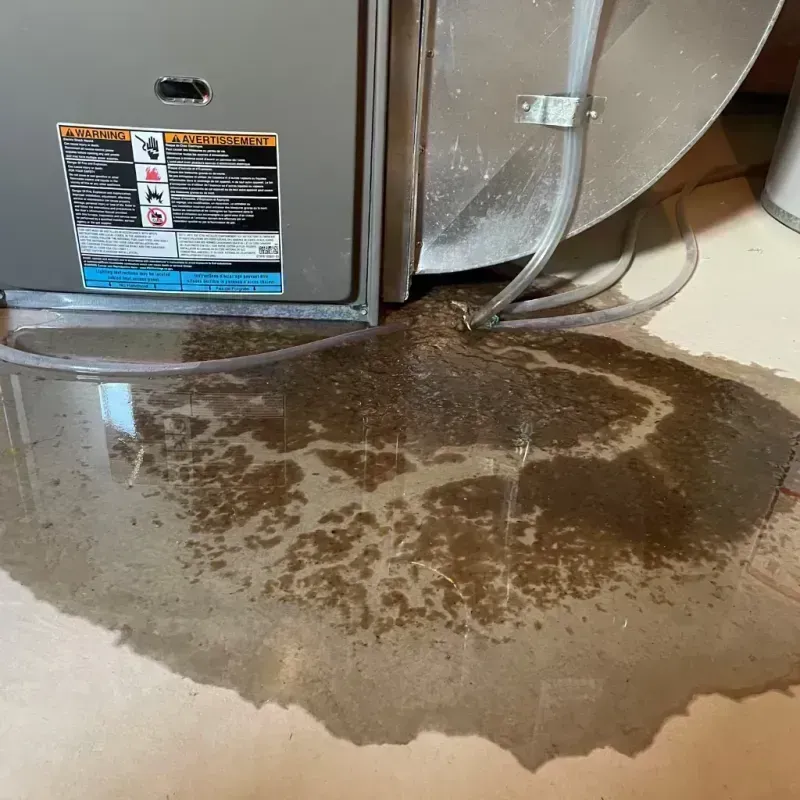 Appliance Leak Cleanup in Grafton, WV